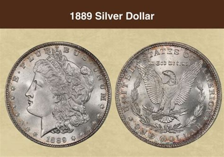 What kind of silver dollar has 1799 on it?