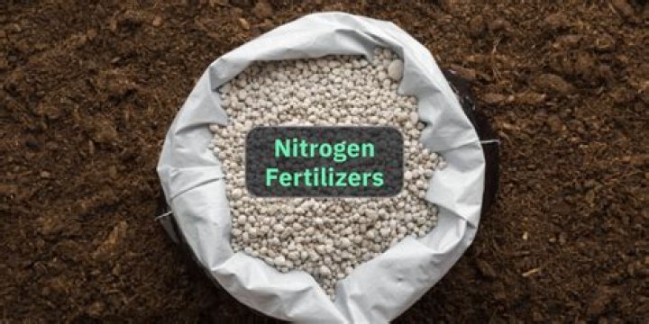 What lawn fertilizer is high in nitrogen?