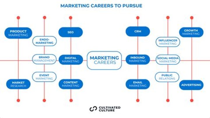 What made you choose marketing as a career?