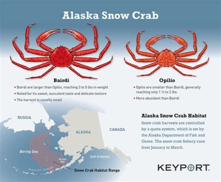 What months are snow crabs in season?
