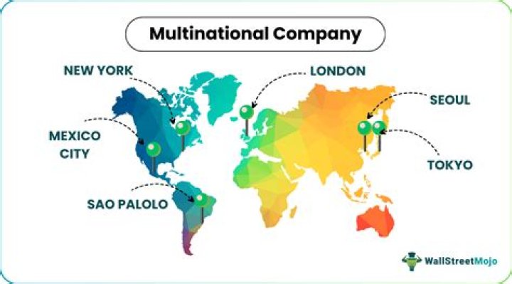 What multinational companies provide?