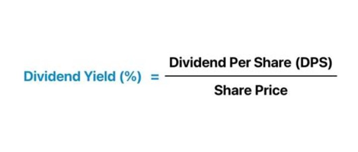 What pays fixed rate of dividend?