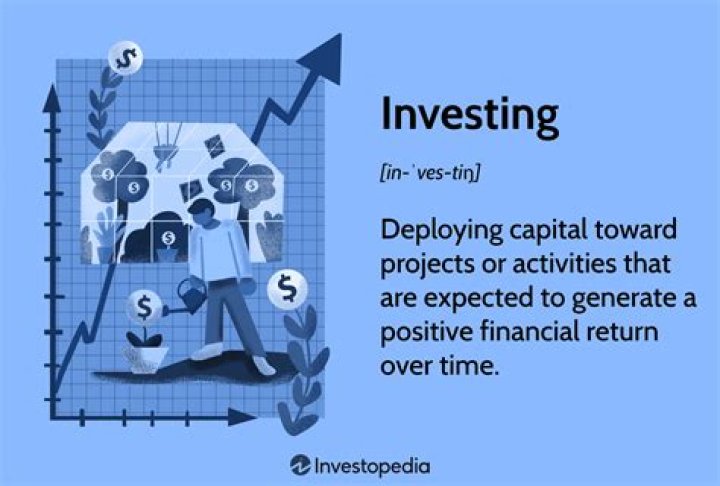 What percentage does an investor usually get?
