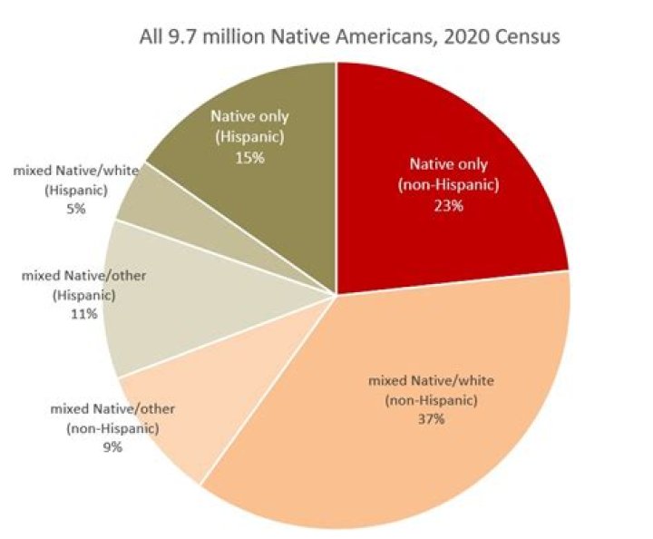 What percentage of Americans are of Spanish descent?