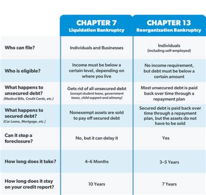 What percentage of Chapter 11 bankruptcies are successful?