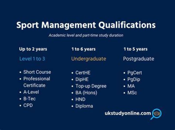 What qualifications do you need to be a sports statistician?