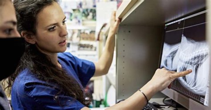 What qualifications do you need to be an x-ray tech?