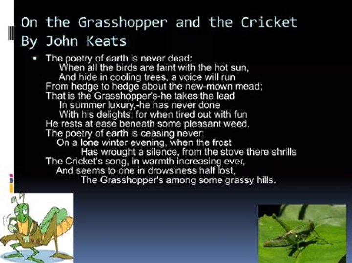 What role do the grasshopper and cricket play in the poetry of earth?