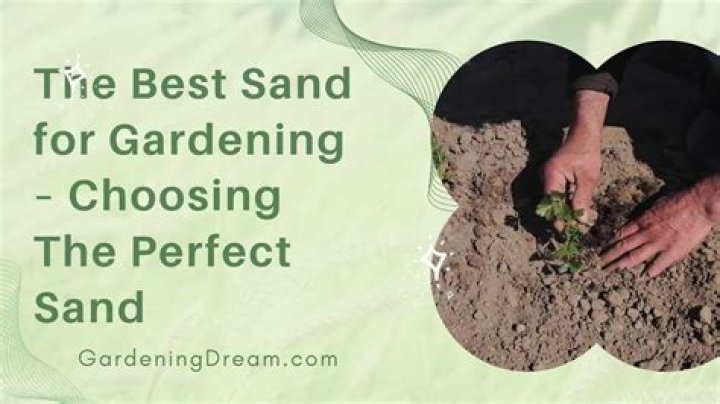 What sand should I use for plants?