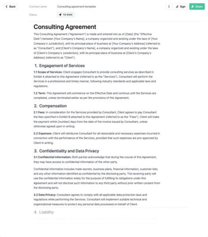 What should a consultant contract include?