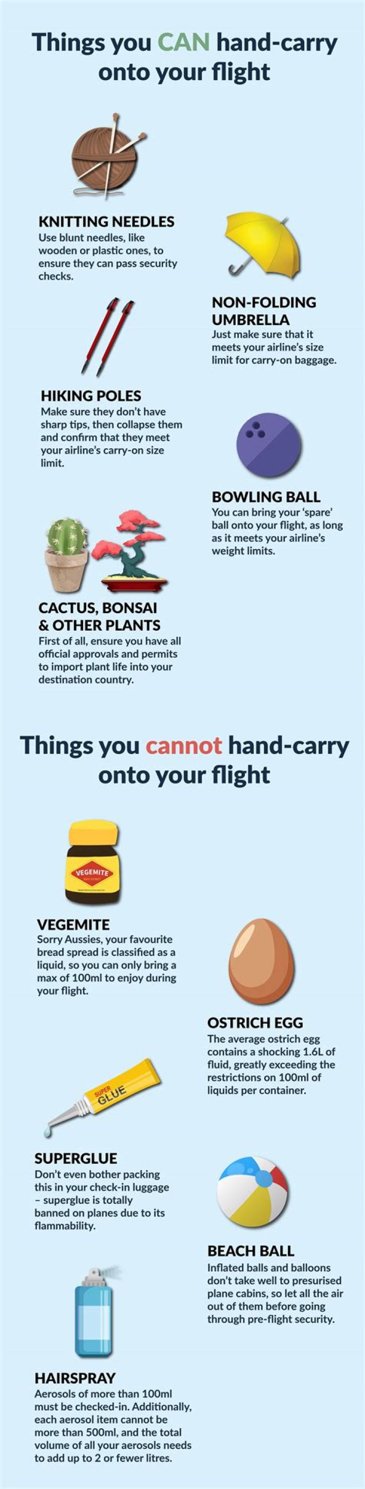 What should I bring on a plane?