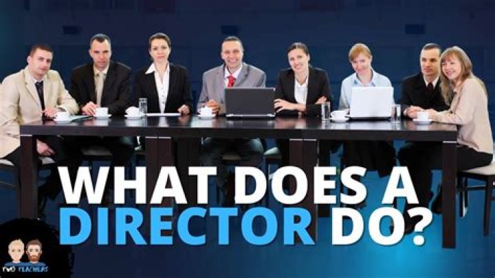 What should I study if I want to be a director?