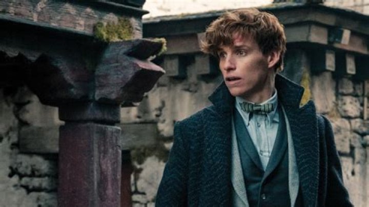 What spell did Newt Scamander use?