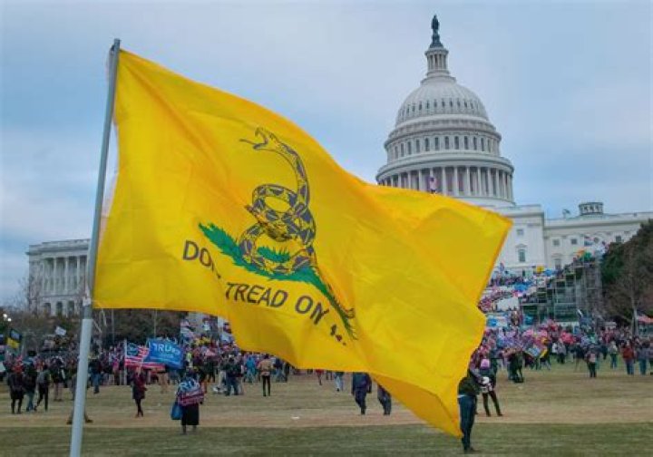 What state's motto is Don't Tread On Me?