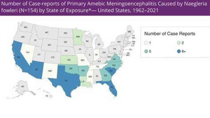 What states have brain-eating amoeba?