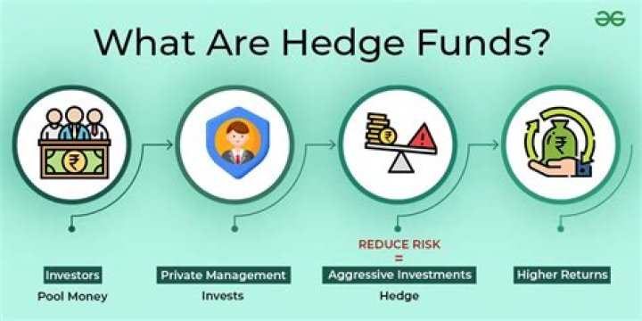 What strategy does hedge fund use?