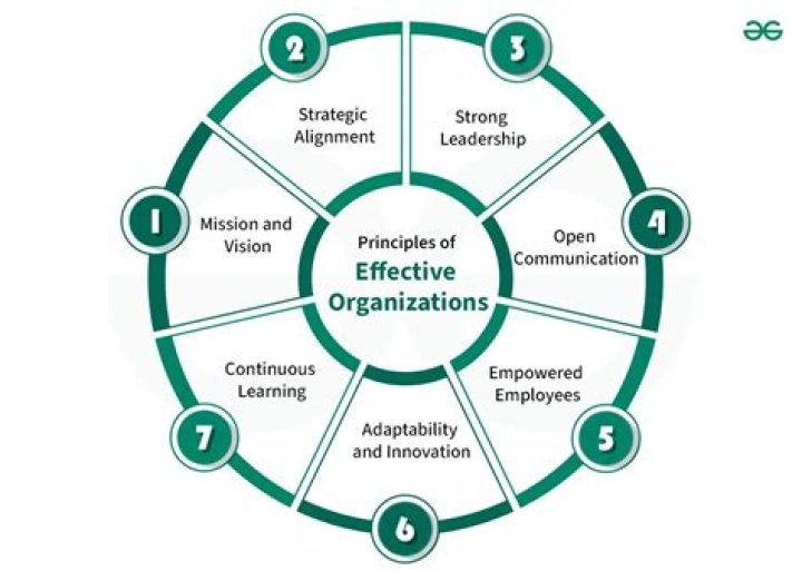 What techniques contribute to good organization?