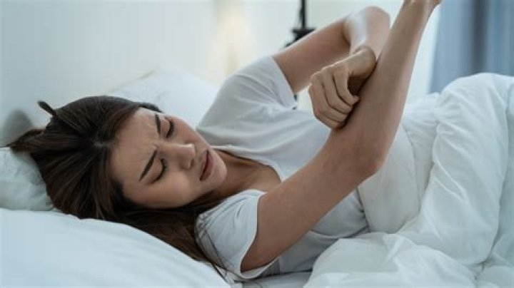 What to do if you wake up with a bat in your room?