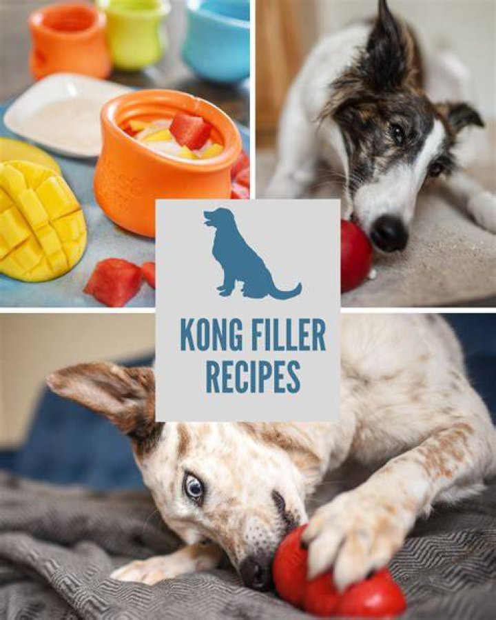 What to put in a Kong that isn't messy?