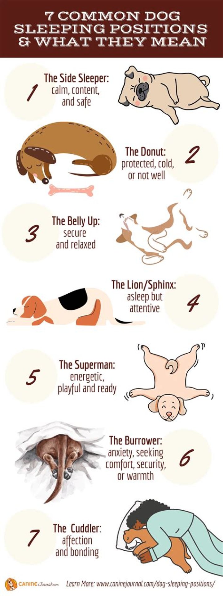 What to say when dog put down?