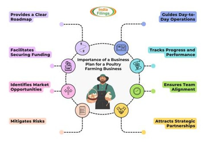 What type of business is dentistry explain?