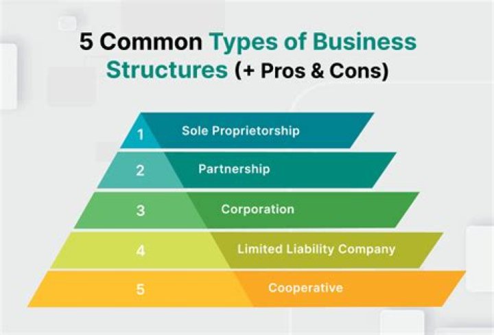 What type of business is Tata Motors?