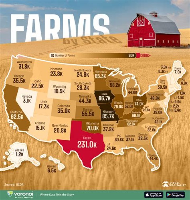 What was the number of farms sold in 2019?