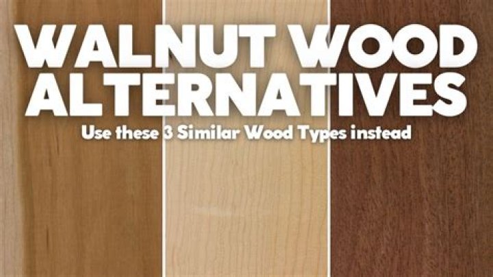 What wood is a Les Paul made of?