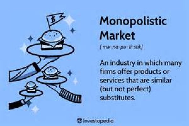 Whats monopolistic mean?