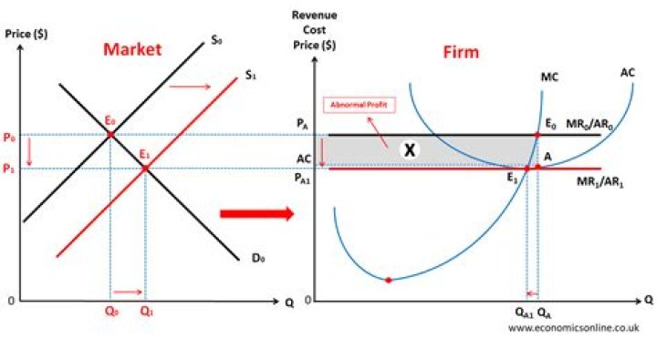 When a second firm enters a monopolist market?