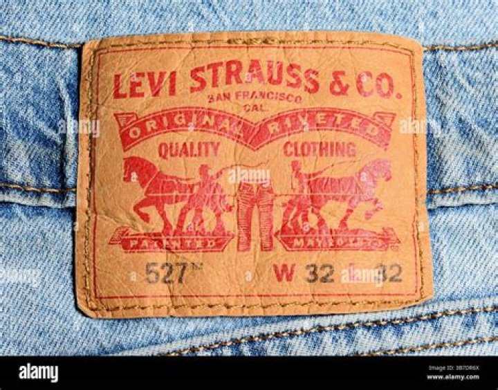 When did Levis change their logo?