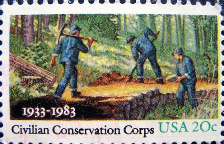 When did s corps start?