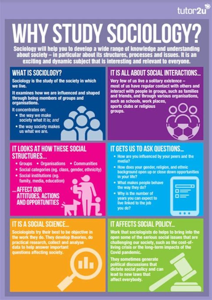 Where can I work if I study sociology?