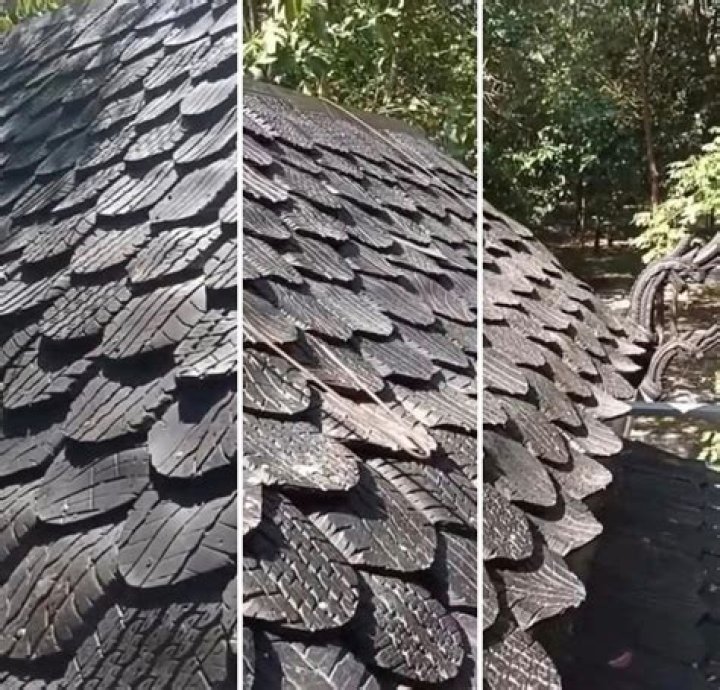 Where did shingles originate from?