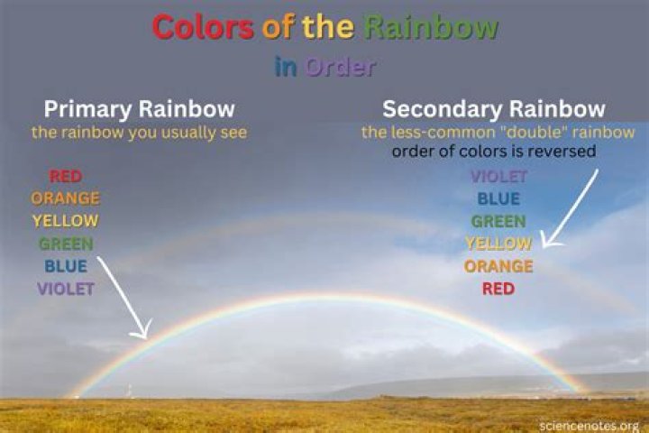 Where does the rainbow ant take you?