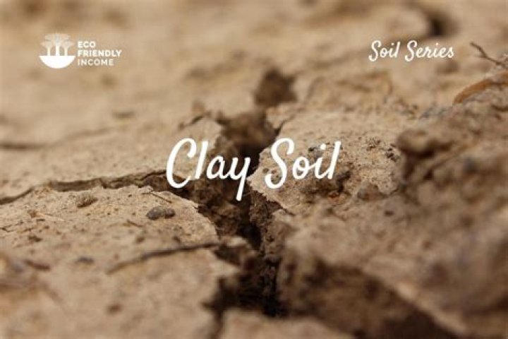Where is clay in soil?