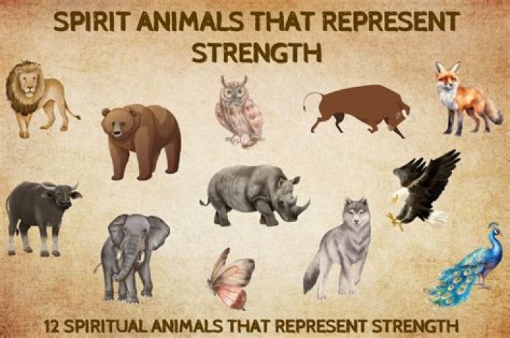 Which animal represents psyche or the soul?