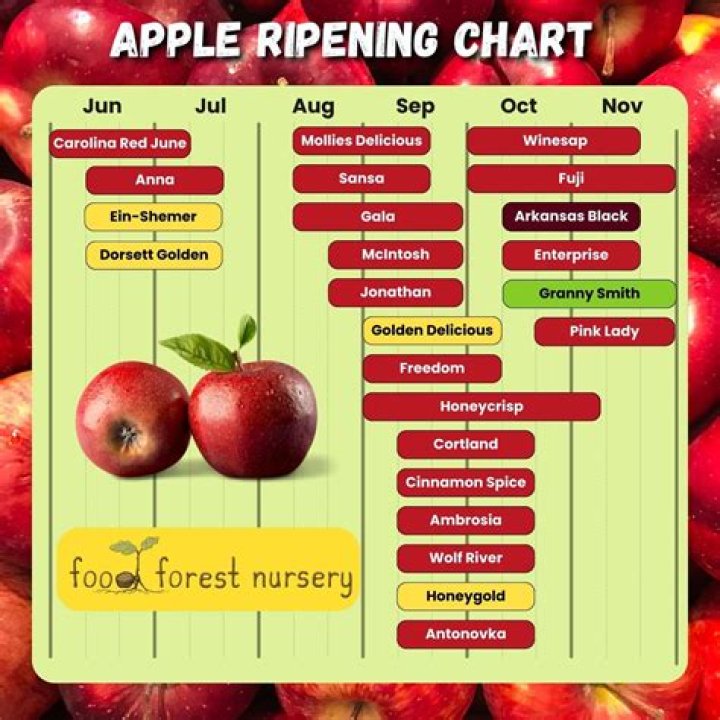 Which apples have the most iron?