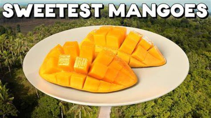 Which country has the sweetest sweets?