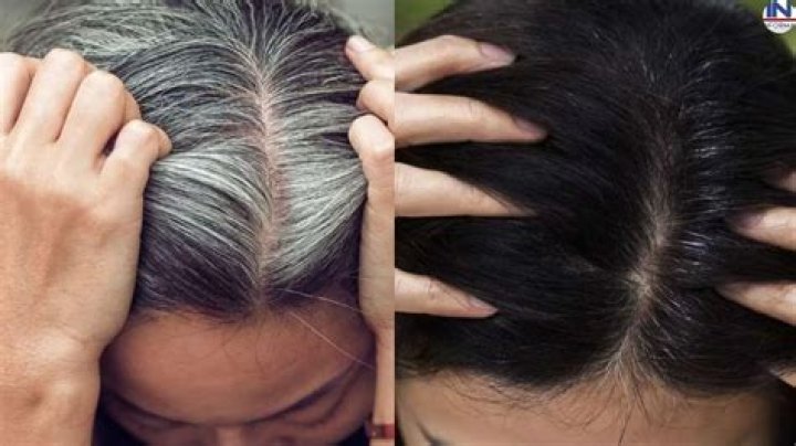 Which henna is best for white hair?