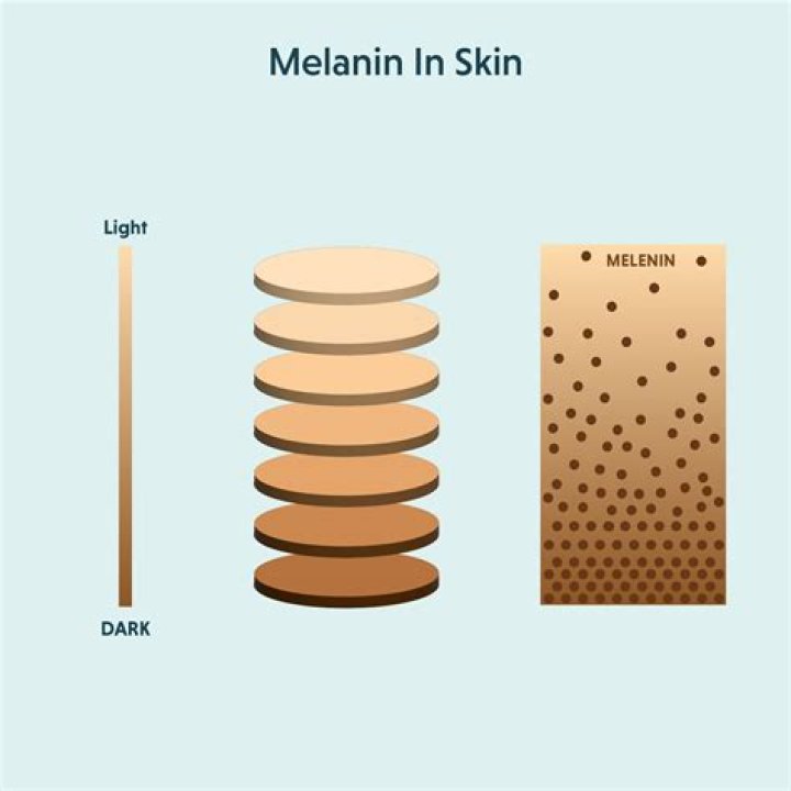 Which herb reduces melanin?