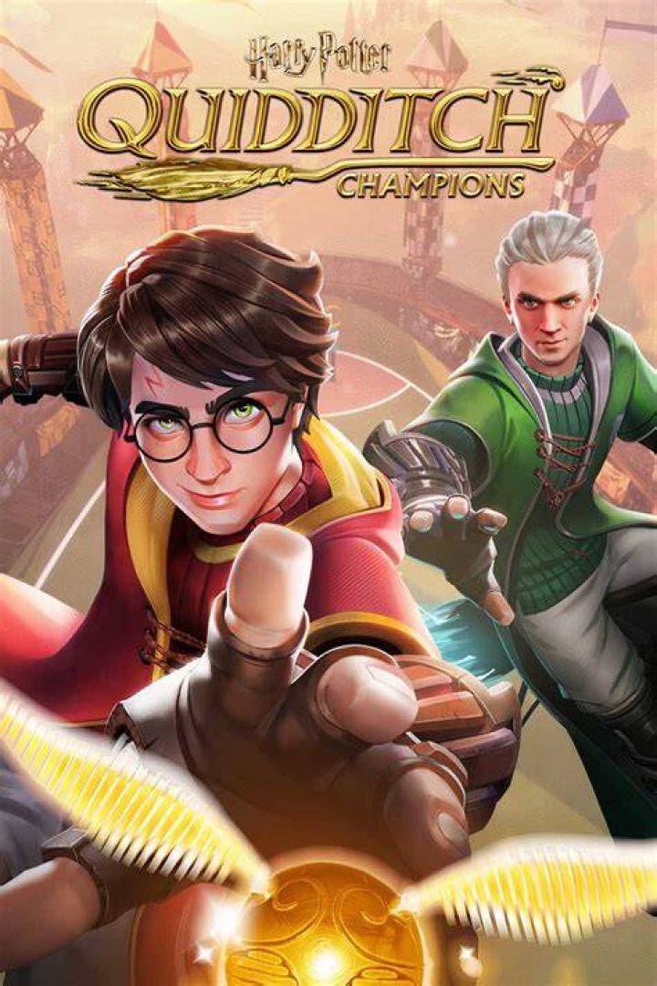 Which house was best at Quidditch?