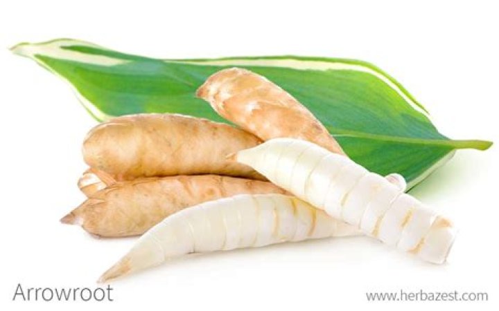Which is the edible part of arrowroot?