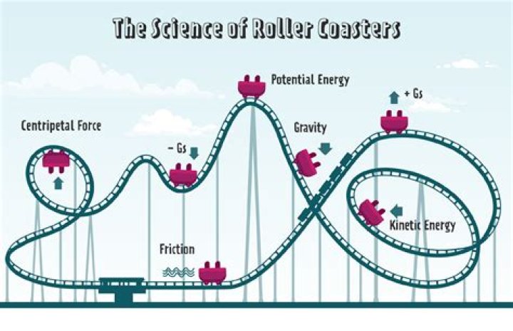 Which motion is used in roller coaster?