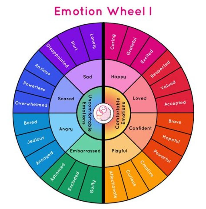 Which of the following is not a primary emotion?