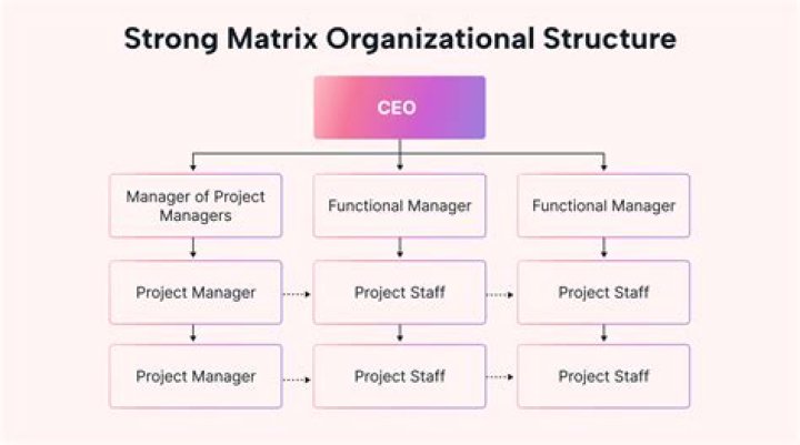 Which organizations use matrix structure?