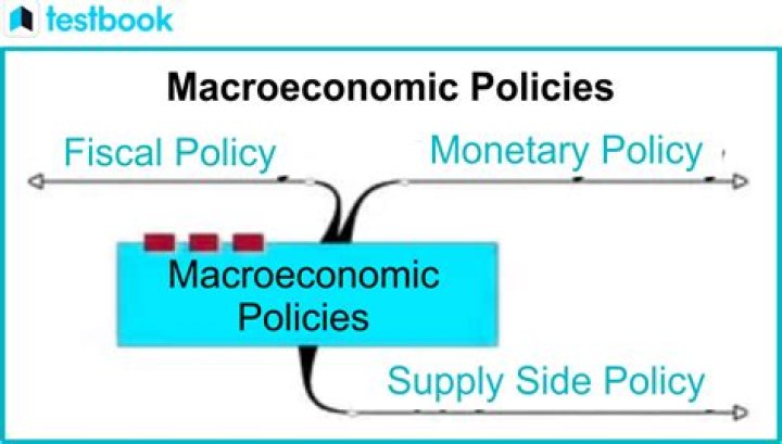 Which policy is included in micro economic policy?