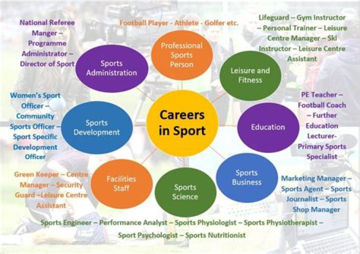 Which sport is best for career?