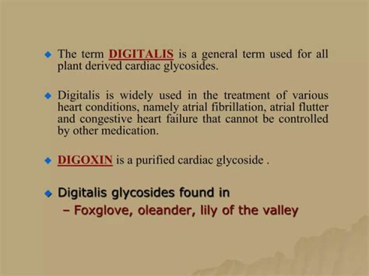 Which term is used to describe the rivalry among businesses in order to gain customers?