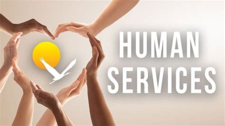 Who are human services professionals?